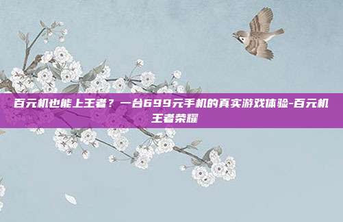 百元机也能上王者？一台699元手机的真实游戏体验-百元机 王者荣耀