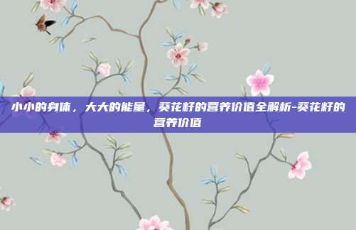 小小的身体,大大的能量,葵花籽的营养价值全解析-葵花籽的营养价值
