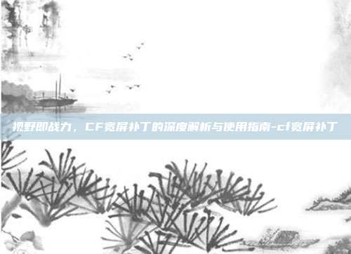 视野即战力，CF宽屏补丁的深度解析与使用指南-cf宽屏补丁