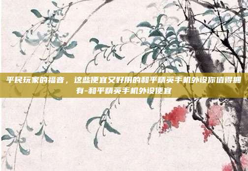 平民玩家的福音,这些便宜又好用的和平精英手机外设你值得拥有-和平精英手机外设便宜