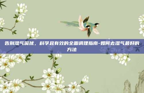 告别湿气困扰，科学且有效的全面调理指南-如何去湿气最好的方法