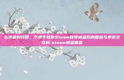 从绝望到找回,手把手教你Steam账号被盗后的复查与申诉全攻略-steam被盗复查