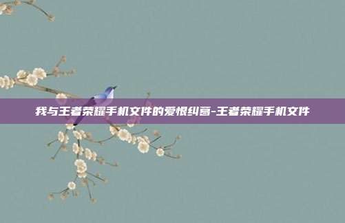 我与王者荣耀手机文件的爱恨纠葛-王者荣耀手机文件