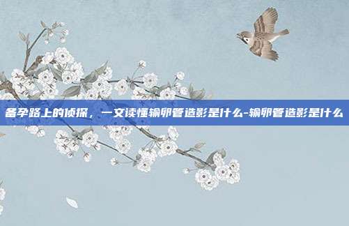 备孕路上的侦探,一文读懂输卵管造影是什么-输卵管造影是什么