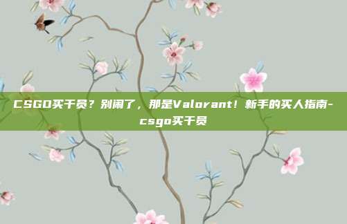 CSGO买干员?别闹了,那是Valorant!新手的买人指南-csgo买干员