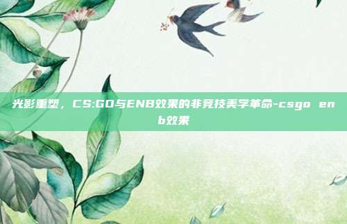 光影重塑，CS:GO与ENB效果的非竞技美学革命-csgo enb效果