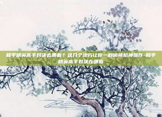 和平精英高手对决去哪看？这几个地方让你一秒偷师枪神操作-和平精英高手对决在哪看