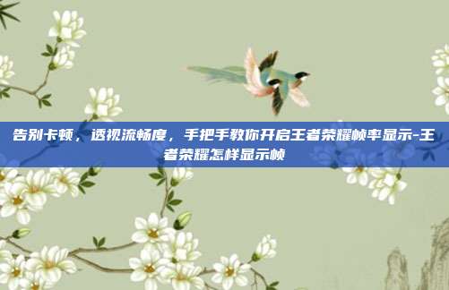 告别卡顿,透视流畅度,手把手教你开启王者荣耀帧率显示-王者荣耀怎样显示帧