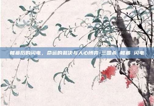 帷幕后的闪电,命运的裁决与人心博弈-三国杀 帷幕 闪电