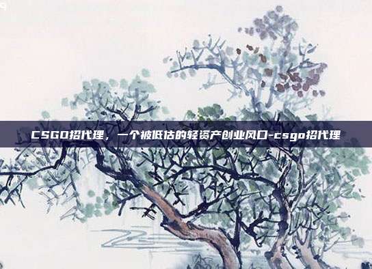 CSGO招代理,一个被低估的轻资产创业风口-csgo招代理