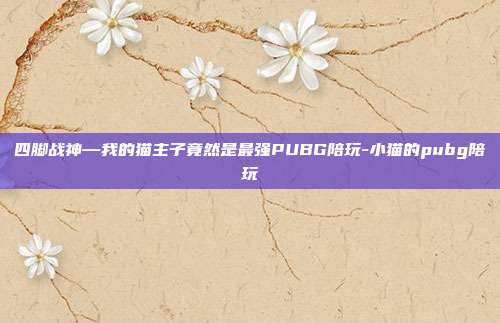 四脚战神—我的猫主子竟然是最强PUBG陪玩-小猫的pubg陪玩