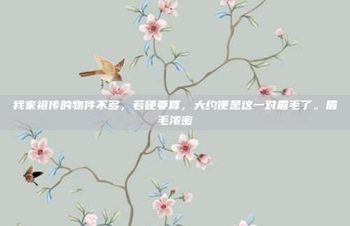 我家祖传的物件不多,若硬要算,大约便是这一对眉毛了。眉毛浓密