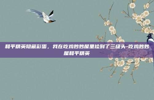 和平精英隐藏彩蛋,我在吃鸡妙妙屋里捡到了三级头-吃鸡妙妙屋和平精英