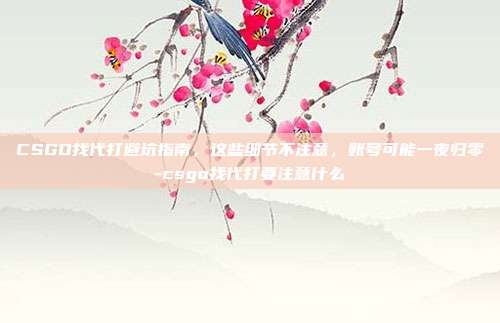 CSGO找代打避坑指南,这些细节不注意,账号可能一夜归零-csgo找代打要注意什么