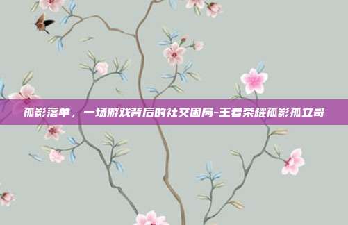 孤影落单,一场游戏背后的社交困局-王者荣耀孤影孤立哥