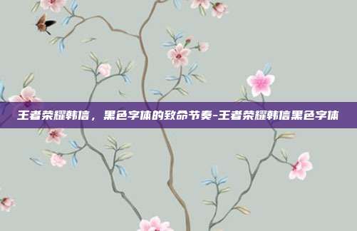 王者荣耀韩信,黑色字体的致命节奏-王者荣耀韩信黑色字体