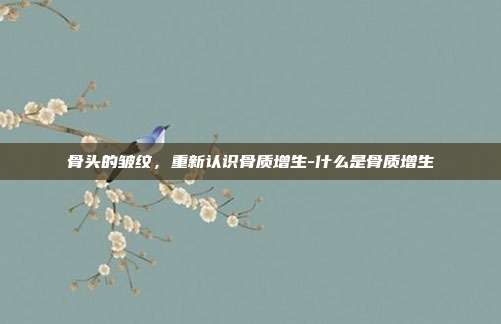 骨头的皱纹,重新认识骨质增生-什么是骨质增生