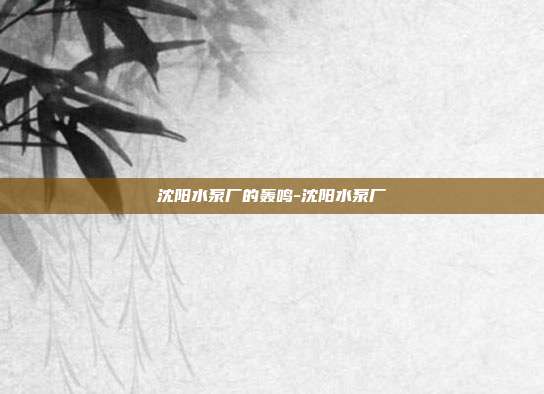 沈阳水泵厂的轰鸣-沈阳水泵厂