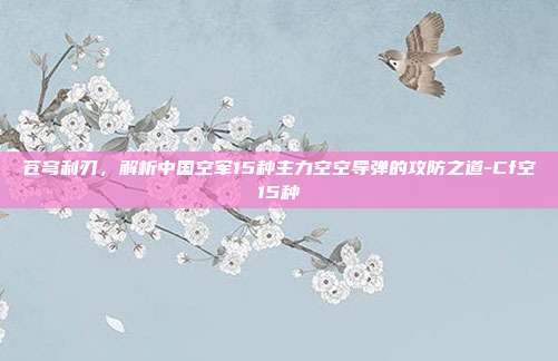 苍穹利刃，解析中国空军15种主力空空导弹的攻防之道-Cf空15种