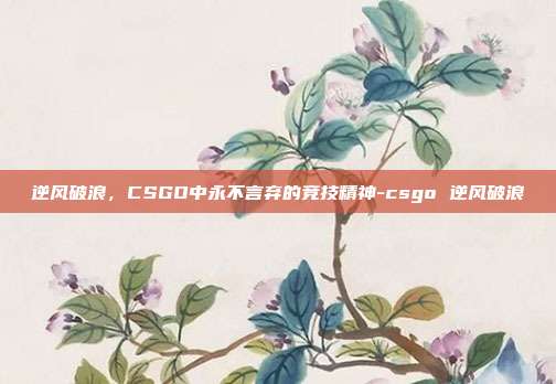 逆风破浪,CSGO中永不言弃的竞技精神-csgo 逆风破浪