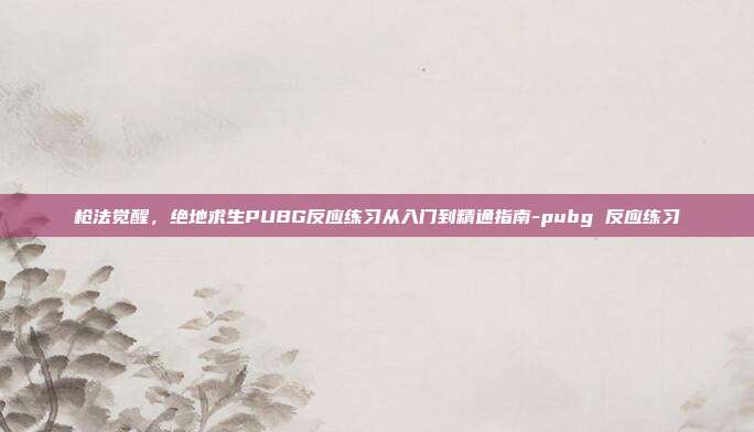 枪法觉醒,绝地求生PUBG反应练习从入门到精通指南-pubg 反应练习