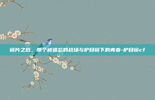 镜片之后,那个被遗忘的战场与护目镜下的青春-护目镜cf