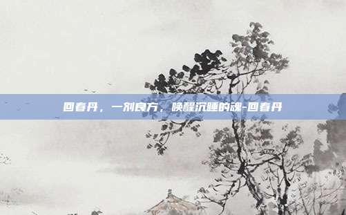 回春丹,一剂良方,唤醒沉睡的魂-回春丹