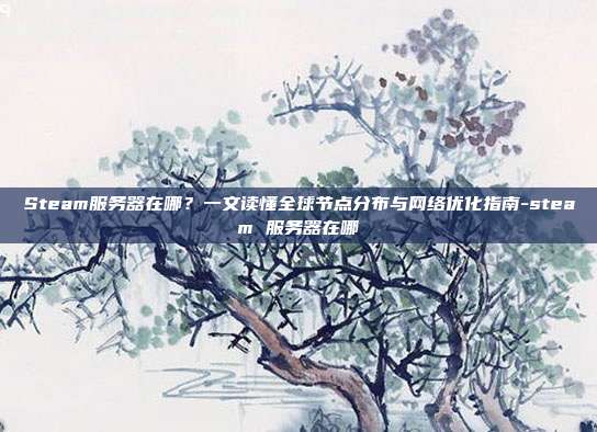 Steam服务器在哪?一文读懂全球节点分布与网络优化指南-steam 服务器在哪
