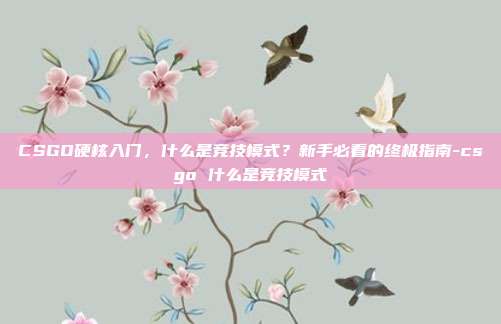 CSGO硬核入门,什么是竞技模式?新手必看的终极指南-csgo 什么是竞技模式