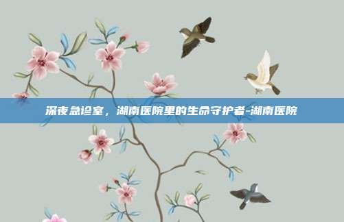 深夜急诊室,湖南医院里的生命守护者-湖南医院