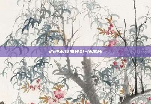 心照不宣的光影-情趣片