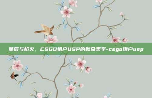 星辰与枪火，CSGO猎户USP的致命美学-csgo猎户usp