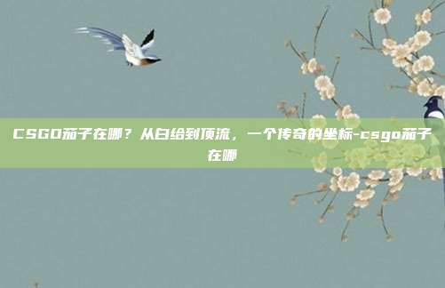 CSGO茄子在哪?从白给到顶流,一个传奇的坐标-csgo茄子在哪
