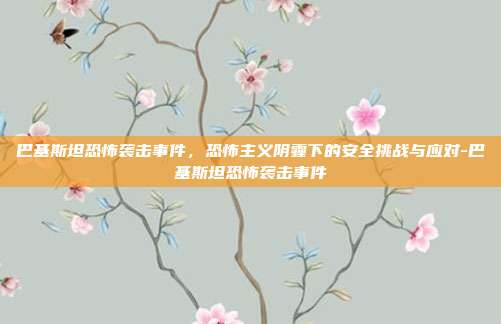 巴基斯坦恐怖袭击事件,恐怖主义阴霾下的安全挑战与应对-巴基斯坦恐怖袭击事件
