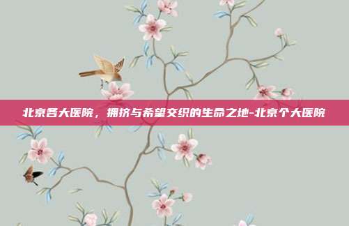 北京各大医院,拥挤与希望交织的生命之地-北京个大医院