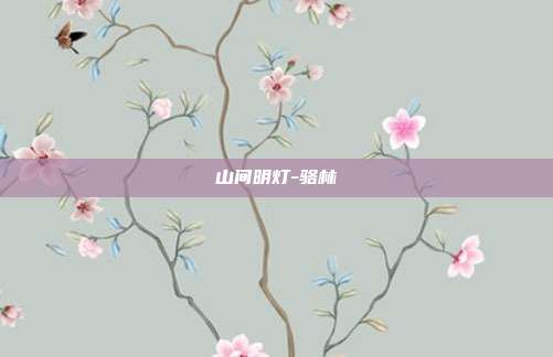 山间明灯-骆林