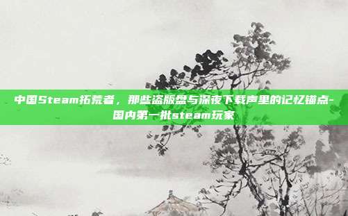 中国Steam拓荒者,那些盗版盘与深夜下载声里的记忆锚点-国内第一批steam玩家