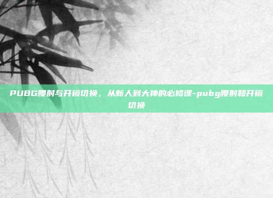 PUBG腰射与开镜切换,从新人到大神的必修课-pubg腰射和开镜切换
