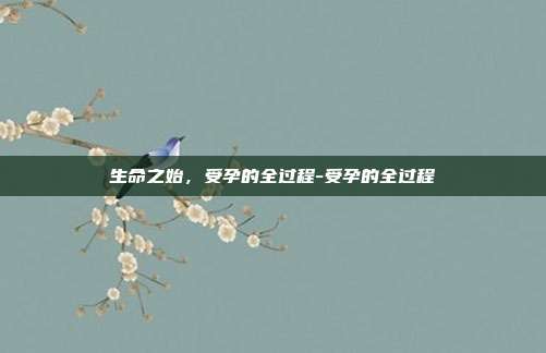 生命之始,受孕的全过程-受孕的全过程