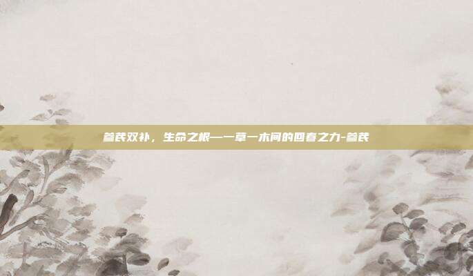 参芪双补,生命之根—一草一木间的回春之力-参芪