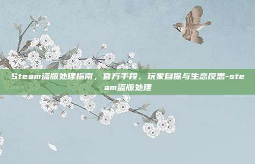 Steam盗版处理指南，官方手段、玩家自保与生态反思-steam盗版处理