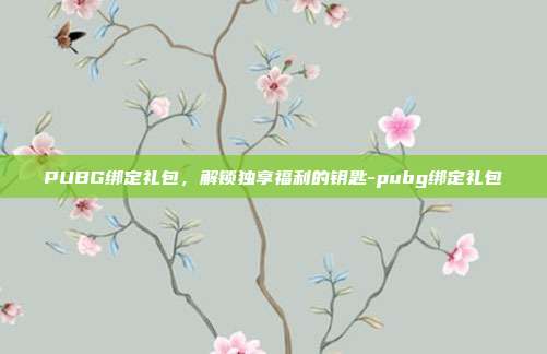 PUBG绑定礼包,解锁独享福利的钥匙-pubg绑定礼包