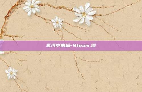 蒸汽中的烟-Steam.烟
