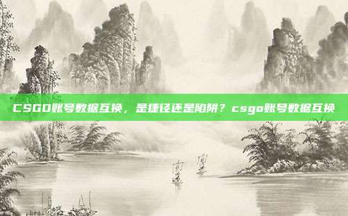 CSGO账号数据互换,是捷径还是陷阱?csgo账号数据互换