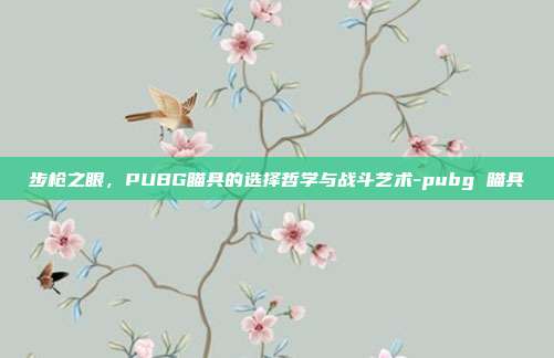 步枪之眼,PUBG瞄具的选择哲学与战斗艺术-pubg 瞄具