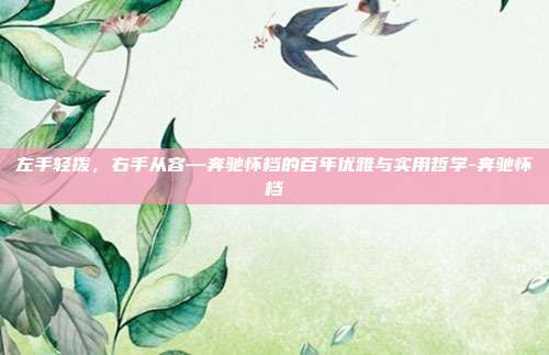 左手轻拨，右手从容—奔驰怀档的百年优雅与实用哲学-奔驰怀档