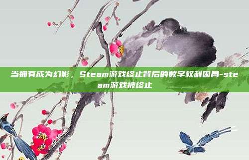 当拥有成为幻影，Steam游戏终止背后的数字权利困局-steam游戏被终止