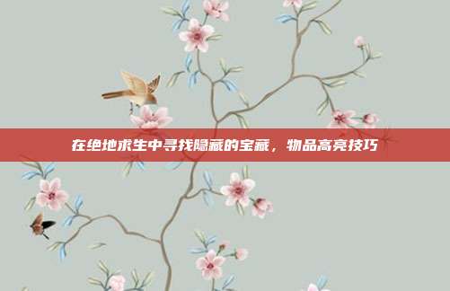 在绝地求生中寻找隐藏的宝藏,物品高亮技巧