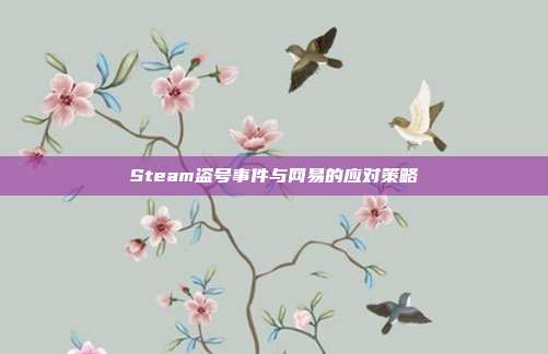 Steam盗号事件与网易的应对策略