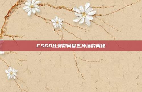 CSGO比赛期间官匹掉落的奥秘